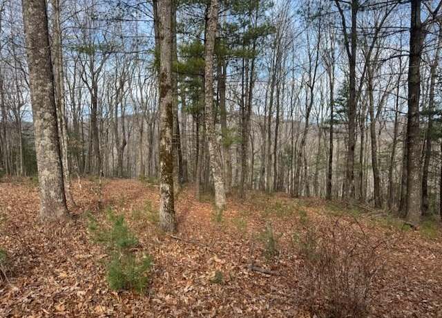 Property at Lt 4,5,6 Abercrombie Ests, Suches, GA 30572