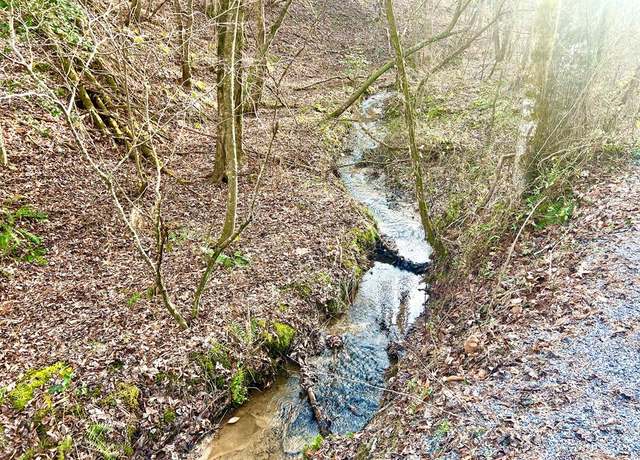 Property at 12 ACRE Pleasant Gap Rd, Ellijay, GA 30540