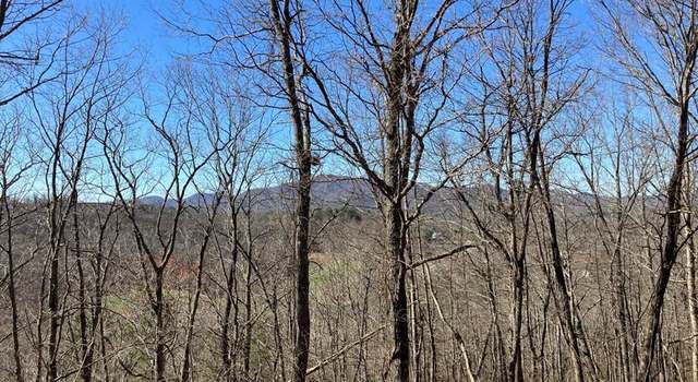 Photo of Lot 4 Mirandi Dr, Warne, NC 28909