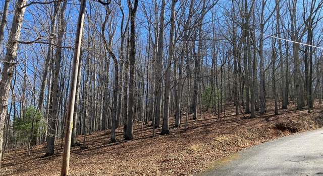 Photo of Lot 4 Mirandi Dr, Warne, NC 28909