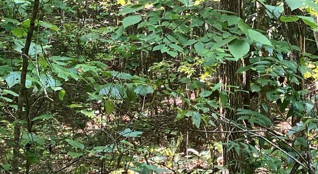 Photo of 5.8 Copper Creek Rd, Murphy, NC 28906