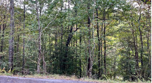 Photo of 00 Brasstown Creek Ridg, Brasstown, NC 28902