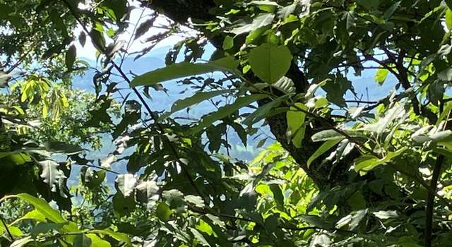 Photo of Lot 10 Brasstown Hts, Murphy, NC 28906