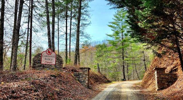 Photo of L46 Warbler Rd, Murphy, NC 28906