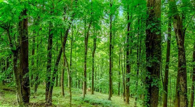Photo of LOT M165 Walnut Mtn, Ellijay, GA 30540