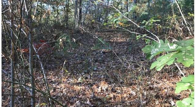 Photo of 19D&E Braves Lndg, Murphy, NC 28906