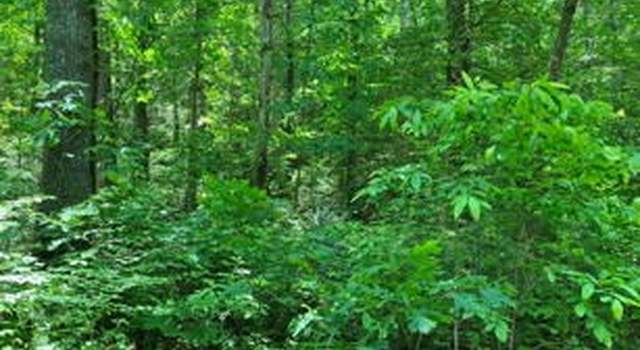 Photo of 1275 Taylor Rd, Hiawassee, GA 30546