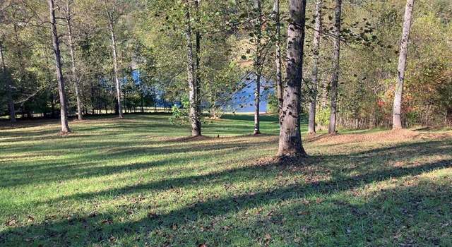 Photo of 121 White Oak Dr, Warne, NC 28909