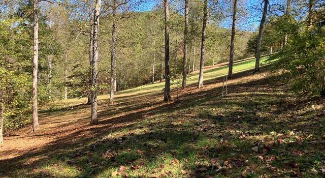 Photo of 121 White Oak Dr, Warne, NC 28909
