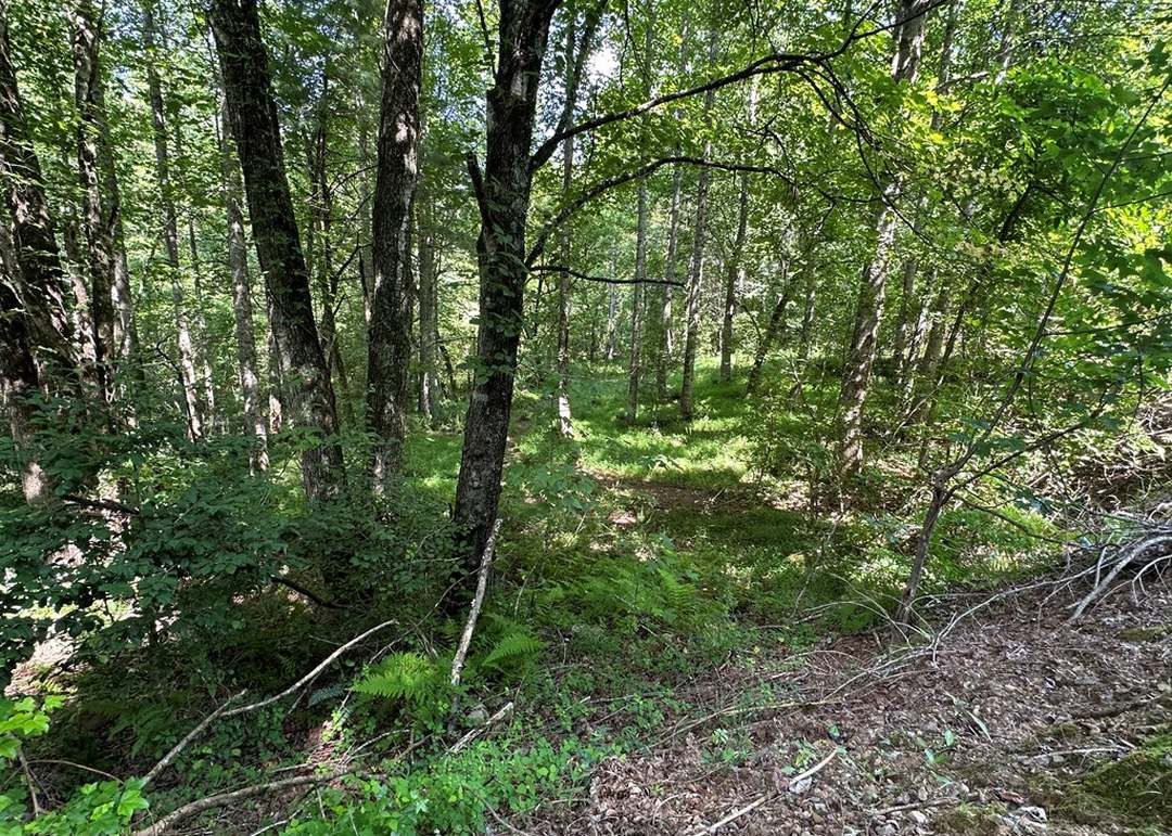 00 Choctaw Ridge Trl