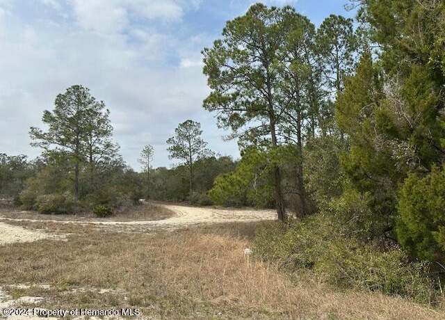 Property at 0 Hardstone Dr, Webster, FL 33597