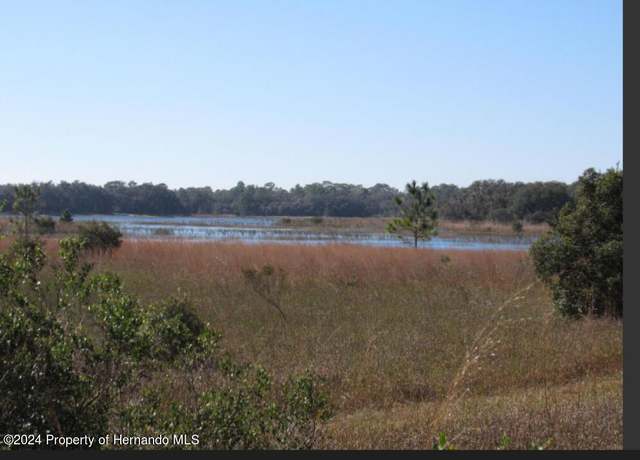 Property at 00 Scenic Lake Dr, Weeki Wachee, FL 34613