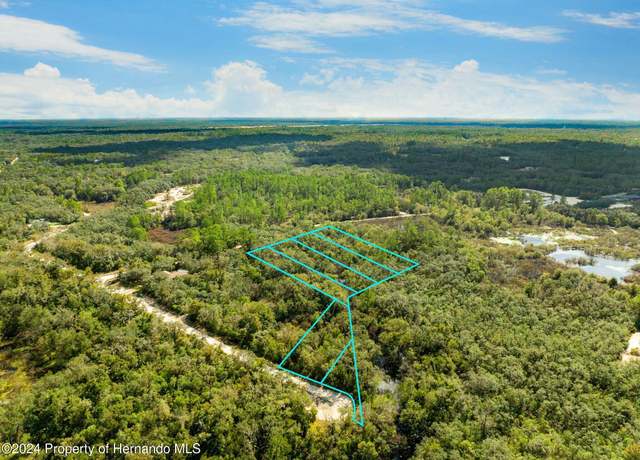 Property at 0 Hardstone Dr, Webster, FL 33597