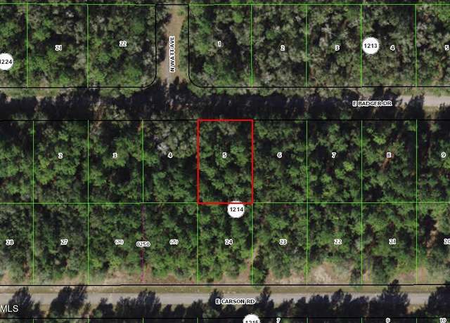 Property at 1628 E Badger Dr, Citrus Springs, FL 34434