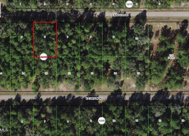 Property at 1650 E Badger Dr, Citrus Springs, FL 34434