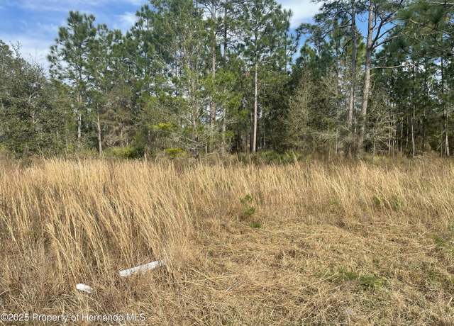 Property at 18061 Necklace Warbler Ave, Brooksville, FL 34614