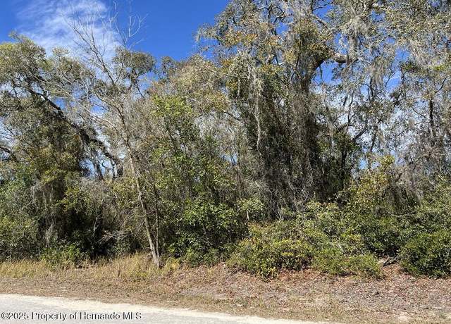 Property at Lot #26 Riverstone St, Webster, FL 33597