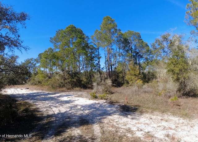 Property at Lot 27 Coldrock Dr, Webster, FL 33597