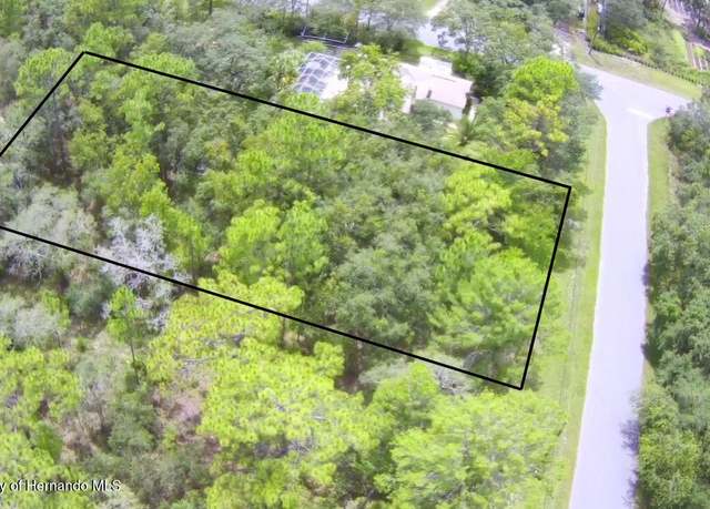 Property at 0 Pembrooke Ave, Weeki Wachee, FL 34614