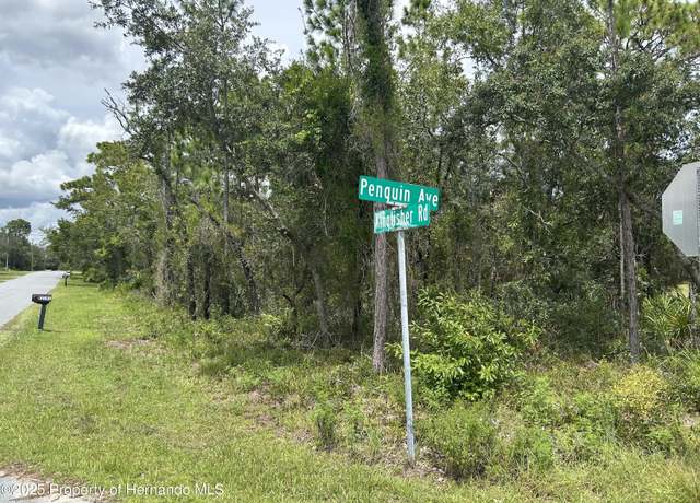 Property at 0 Penguin Ave, Weeki Wachee, FL 34614