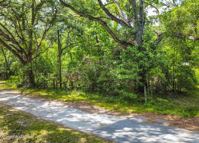 Property at 0 Edwards Ave, Brooksville, FL 34601