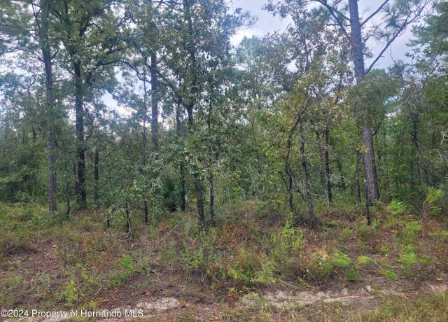 Property at 13220 Velvet Scoter Ave, Weeki Wachee, FL 34614