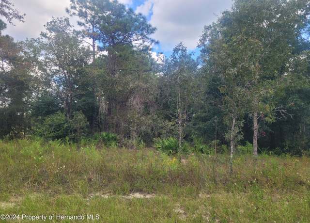 Property at 13442 Cormorant Rd, Weeki Wachee, FL 34614
