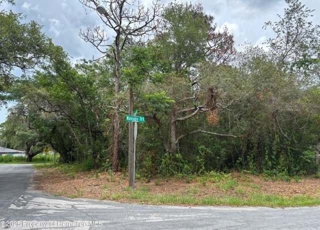 Property at Lot W290 Navajo Trl, Spring Hill, FL 34606