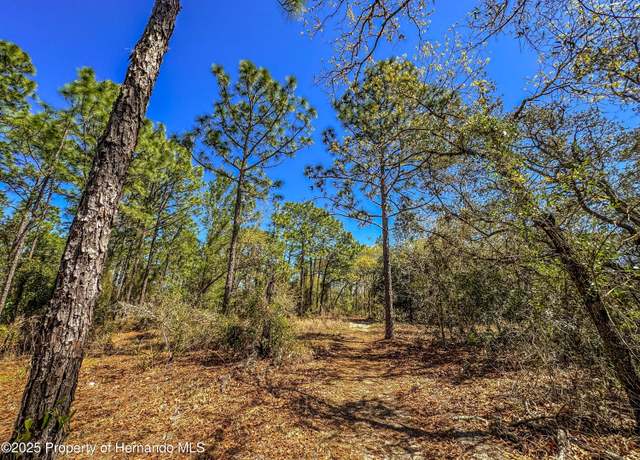 Property at 0 Sheffield Rd, Spring Hill, FL 34608