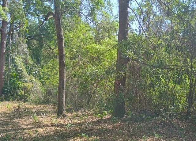 Property at 16280 Palacky St, Masaryktown, FL 34604