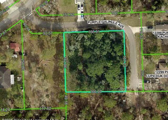 Property at 0 Purple Galinule Ave, Weeki Wachee, FL 34614