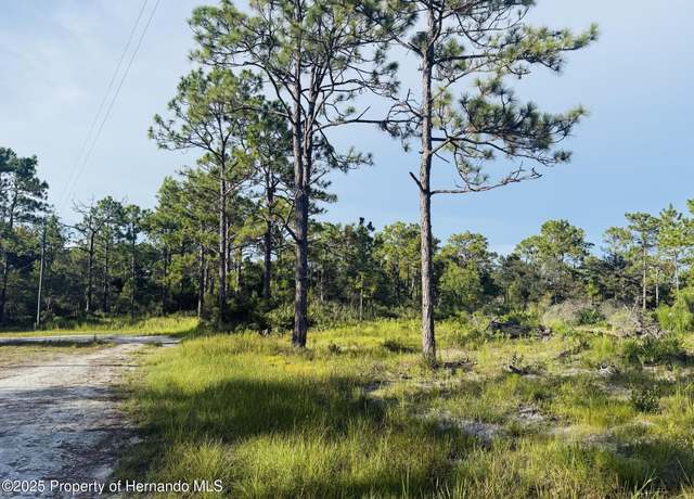 Property at 000 Parallel Rd, Brooksville, FL 34614