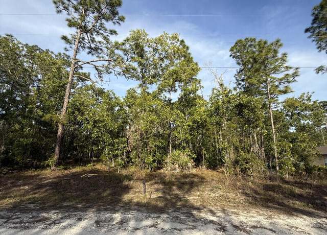 Property at LOT 20 Macassar Rd, Weeki Wachee, FL 34614