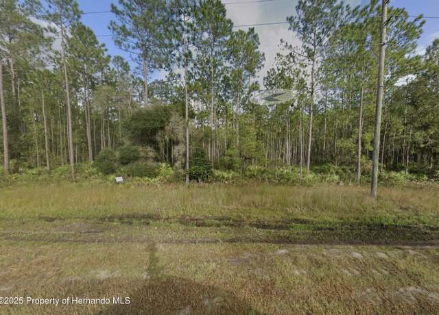 Property at 0 County Road 315, Interlachen, FL 32148