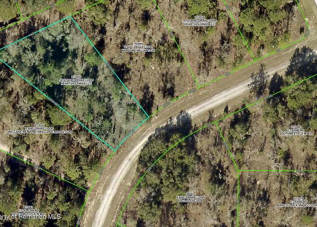 Property at 16147 Sheldrake Loop, Weeki Wachee, FL 34614