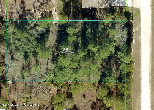 Property at 0 Crane Rd, Weeki Wachee, FL 34614