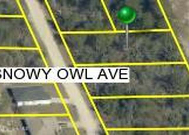 Property at 0 Snowy Owl Ave, Weeki Wachee, FL 34614