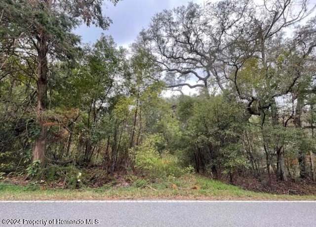 Property at 0 Mitchell Rd, Brooksville, FL 34601