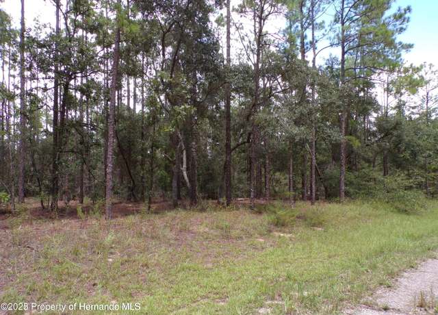 Property at 601 E Marquette Ln, Citrus Springs, FL 34434