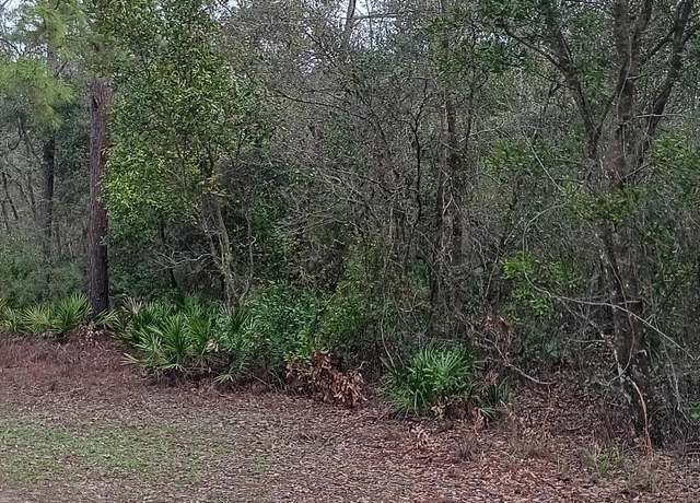 Property at 0 Colonel Ave, Webster, FL 33597