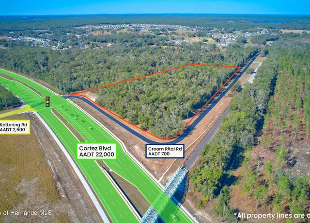 Property at 0 Croom Rital Rd, Brooksville, FL 34602