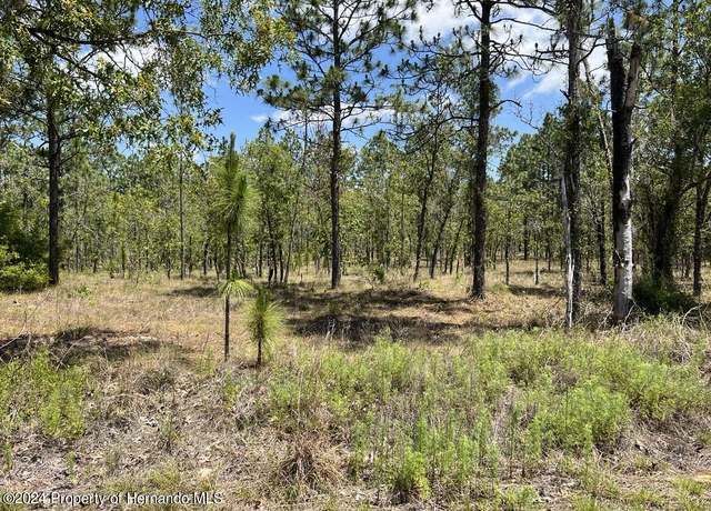Property at 00 NW Amberjack Ave, Dunnellon, FL 34431