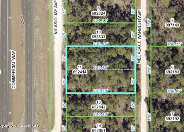 Property at 17160 Nicasio Jay Ave, Weeki Wachee, FL 34614