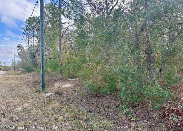 Property at 0 Potomac Ave, Brooksville, FL 34614