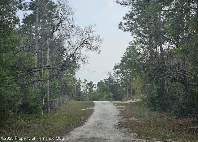 Property at 0 Colonel Ave, Webster, FL 33597