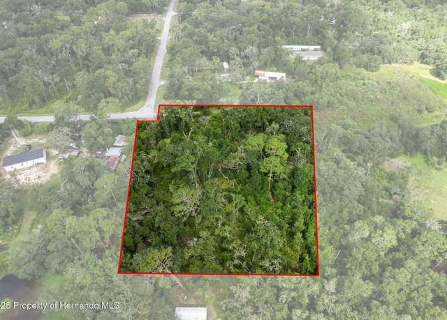 Property at 00 County Road 683d-1, Webster, FL 33597