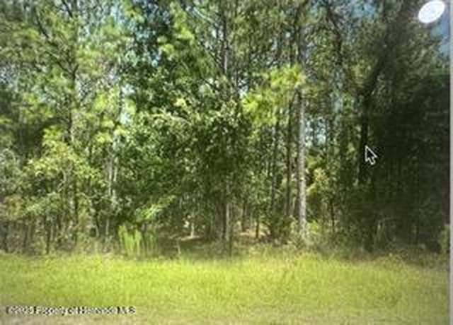 Property at 13095 Albany Rd, Weeki Wachee, FL 34614