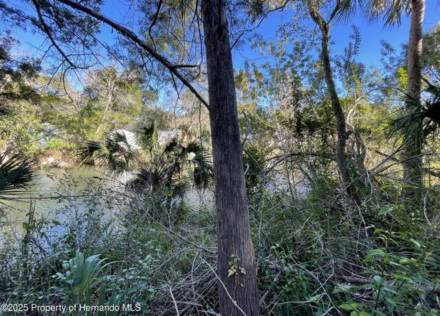 Property at 0 River Pt, Weeki Wachee, FL 34607
