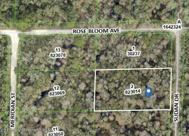 Property at 0 Sudan Rd, Webster, FL 33597