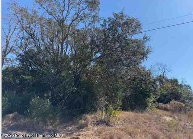 Property at 0 Bedford Rd, Spring Hill, FL 34608